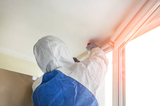 Best Environmental Consulting for Mold Prevention  in Simpsonville, KY